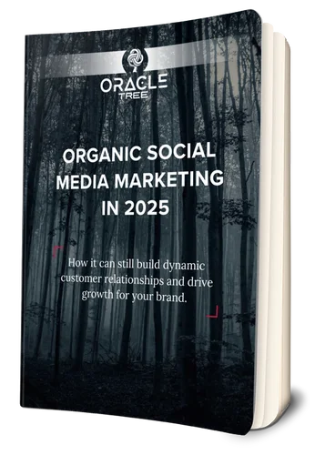 Organic Social Media ebook 2025